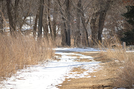 ścieżka, łąka, zimowe, śnieg, Prairie, obszarów wiejskich, podróży