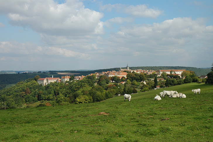 Bourgogne, Frankrig, Village, middelalderen, Hill, køer, græs