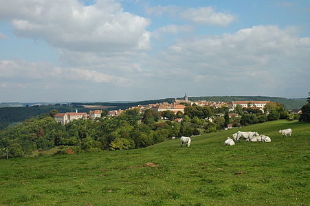Borgoña, Francia, aldea, edad media, colina, vacas, del pasto