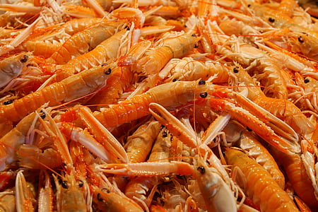 food, eat, seafood, shrimp, crustaceans, nutrition, vitamins