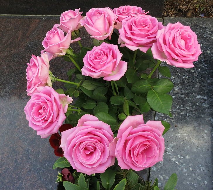 Strauss, roser, farvel, blomst, lyserød farve, Rose - blomst, Peony
