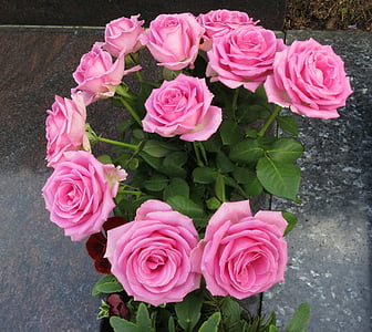 Strauss, rosor, Farväl, blomma, rosa färg, ros - blomma, pion