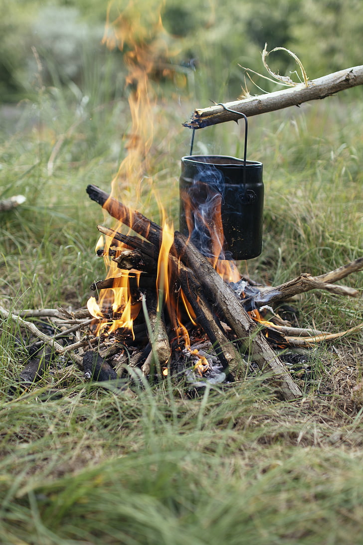 fuego, madera, s, campamento, al aire libre, madera, s, cocinar