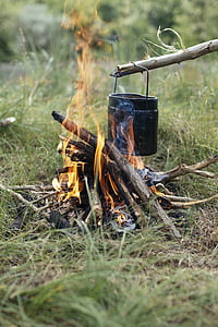 fogo, madeira, s, acampamento, ao ar livre, madeira, s, cozinhar