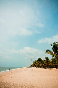 Plaża, palmy, łodzie, wakacje, piaszczystej plaży, deska surfingowa
