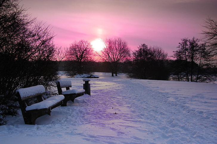 inverno, Alba, tramonto, neve, coltre di neve, Afterglow, panchina del parco