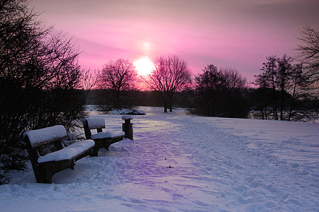 winter, sunrise, sunset, snow, snow cover, afterglow, park bench