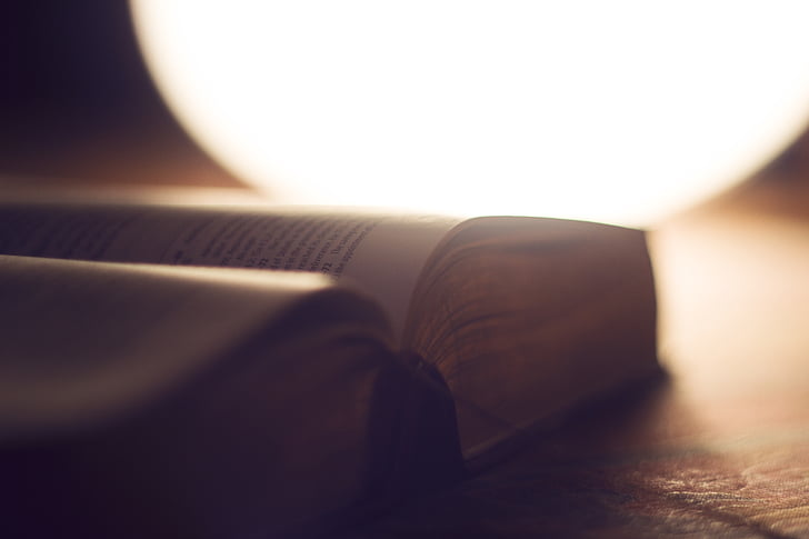 Bíblia, entelar, llibre, close-up, document, enfocament, llum