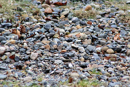 石头, 多彩, 七彩石, 颜色, 卵石, 各种, 海岸