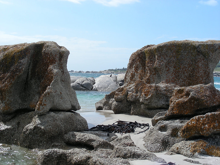 Rock, Beach, havet, ferie, Afrika, Cape town, Rock - objekt