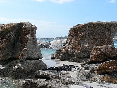 Rock, stranden, sjøen, ferie, Afrika, Cape town, Rock - objekt