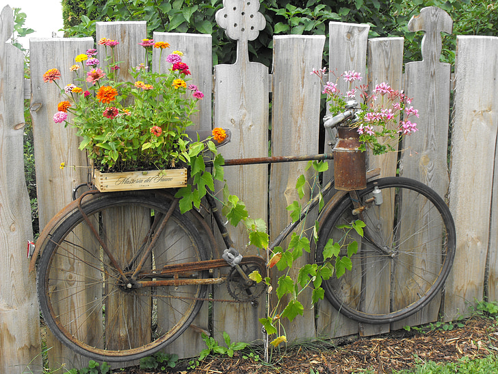 nerūsējoša tērauda, velosipēds, dārza, žogs, velosipēdu, ārpus telpām, puķe