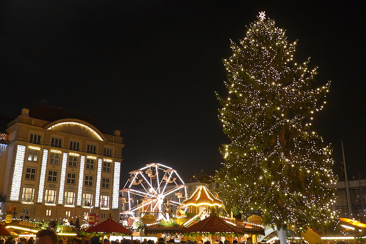 christmas market, dresden, germany, christmas tree, the lights, night, city
