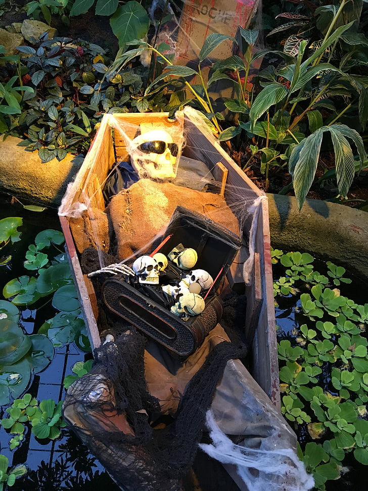 halloween, coffin, spooky, october, garden, decor