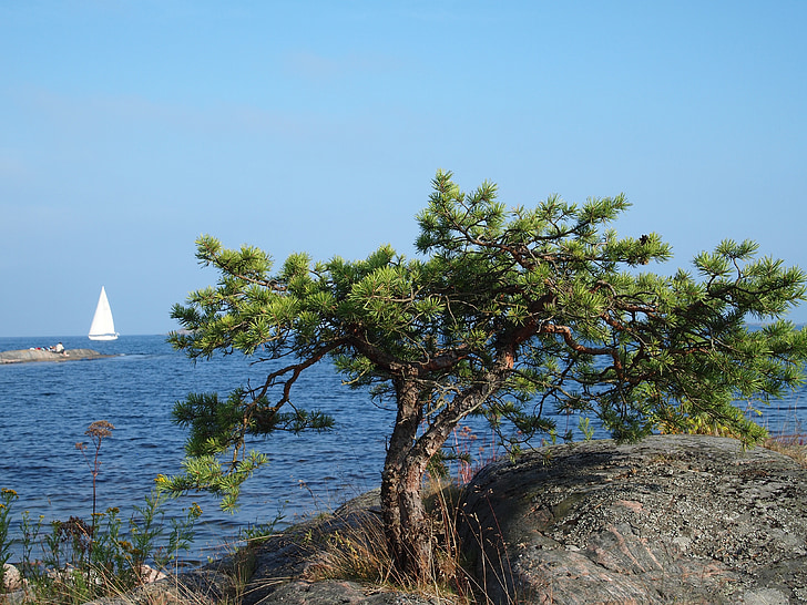 vela, arxipèlag, Suècia, embarcacions, fa poc, soledat, mariner