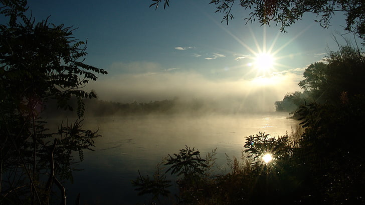 sunrise, river, nature, fog, sunset, tree, landscape