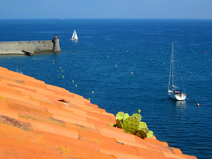 Collioure, Medelhavet, hamnen, Pyrénées-orientales, Frankrike