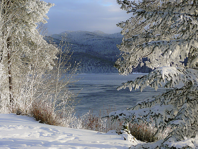 žiemą, sezono metu, ledinis, medžiai, Gamta, Canim ežeras, Britų Kolumbija
