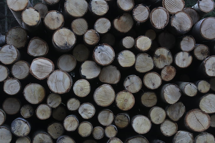 wood, logs, forest, tree, timber, lumber, stack