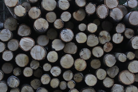 木材, ログ, フォレスト, ツリー, 木材, 木材, スタック