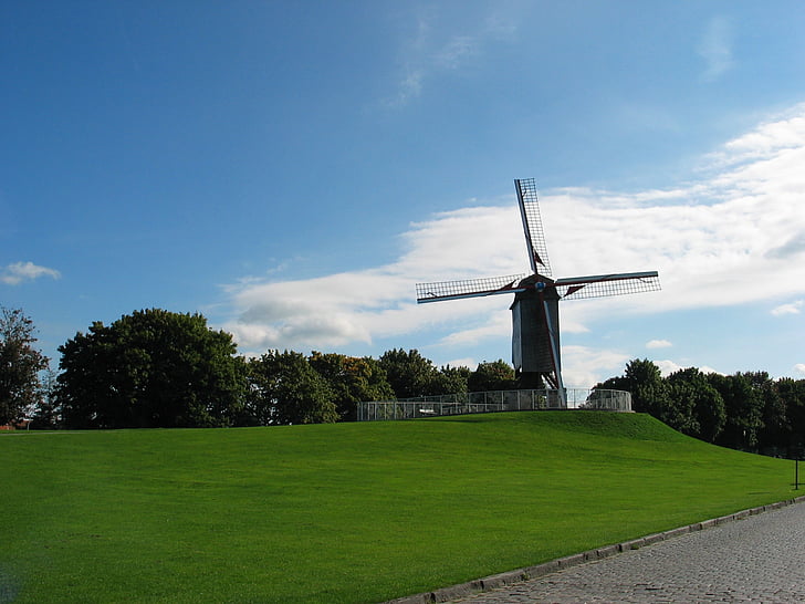 Bruges, moinho de vento, Rush, céu, Bélgica, natureza, Prado