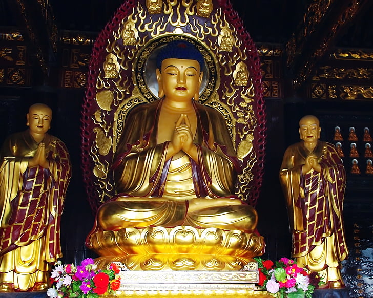 Čína, Xian, Pagoda, divé husi, Buddha, budhistický chrám, budhizmus