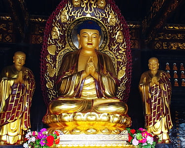 Čína, Xian, Pagoda, divé husi, Buddha, budhistický chrám, budhizmus