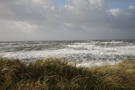 para a frente, mar, vento, onda, água, inchar, nuvens