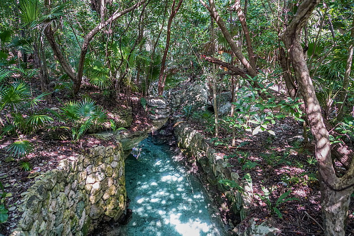 xcaret, cancun, mexico, forest, river, tropical, nature