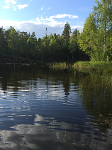 Lac, la nature de la, Norvège