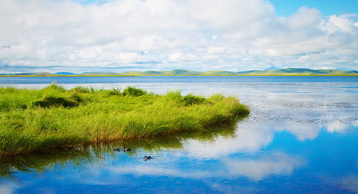 nature, paysage, nuages, Sky, vert, réflexion, herbe