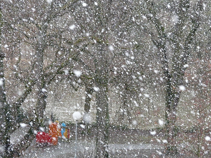 หิมะ, หิมะ, เกล็ดหิมะ, พายุหิมะ, ฤดูหนาว, เกล็ด, ฝันฤดูหนาว