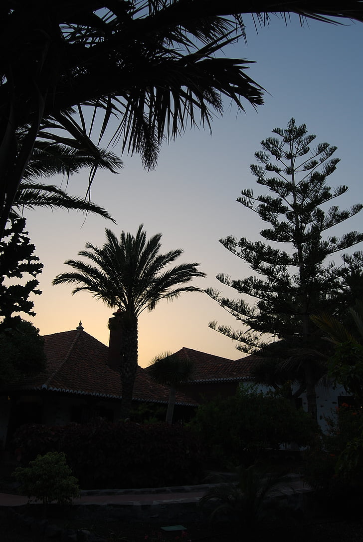 palmas, veģetācija, saulriets, gomera, apgaismojums, Viesnīca, Kanāriju salas