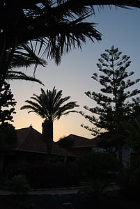 palmiers, végétation, coucher de soleil, Gomera, rétro-éclairage, Hôtel, îles Canaries