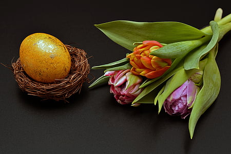 uovo di Pasqua, nido di Pasqua, Pasqua, uovo, decorazione, decorazione di Pasqua, Buona Pasqua