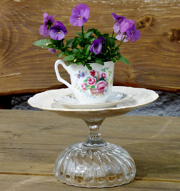 garden decoration, violet, plant, cup and saucer, atmosphere, romantic, purple
