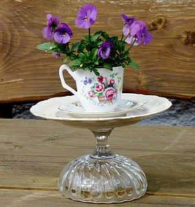 sodo dekoracijos, violetinė, augalų, puodelis su lėkštute, atmosfera, Romantiškas, violetinė