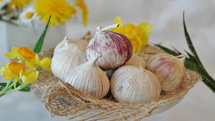 česnek, čínský česnek, Allium sativum, Kuchyně, Cook, koření, sezóny