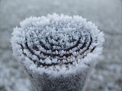 Suurendus:, külm, Frost, jää, Makro, lumi, talvel