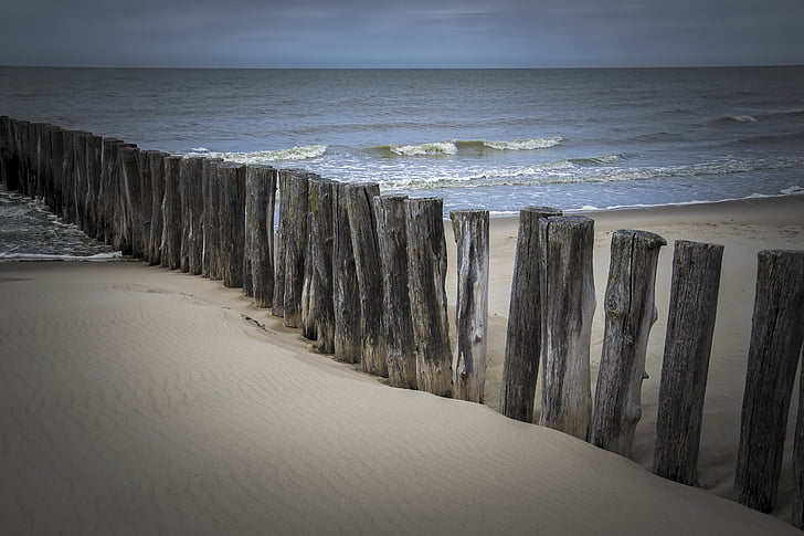 плаж, море, синьо, дървен материал, брегова линия, природата