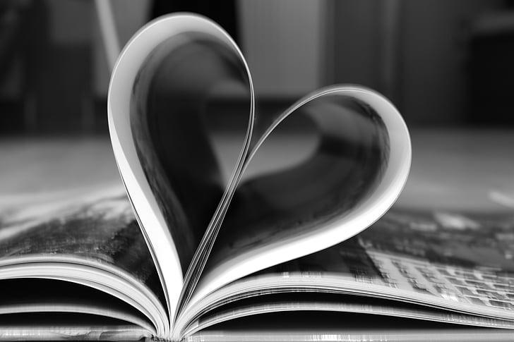 heart, valentine's day, book, literature, education, library, learning