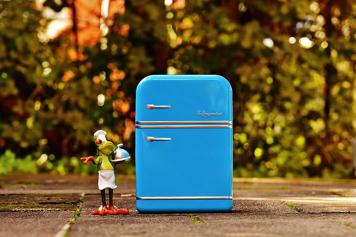 frog, cooking, refrigerator, blue, figure, funny, frogs