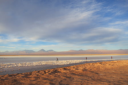 Seashore, dnevno, Laguna Cejar, Čile, vode, pesek, krajine