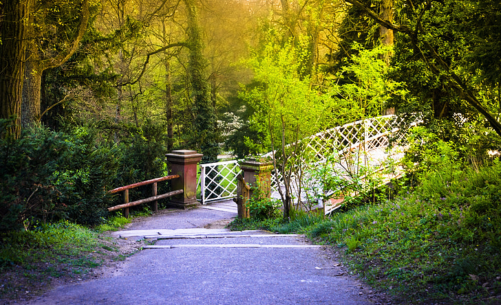 Pont, distància, web, Barana, passarel·la de vianants, natura, verd