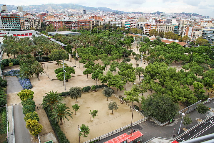 parku, strom, ulice, Barcelona, Španělsko
