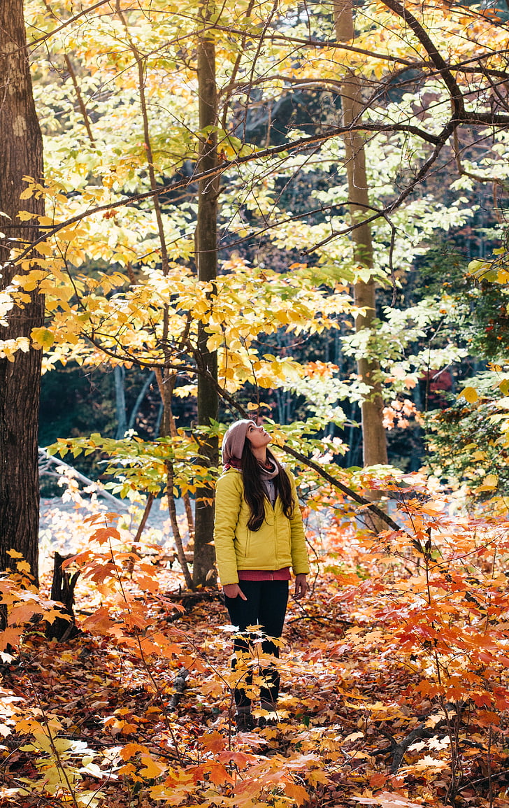 woman, middle, forest, looking, autumn, tree, leaf