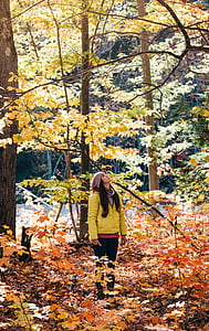 wanita, tengah, hutan, mencari, musim gugur, pohon, daun