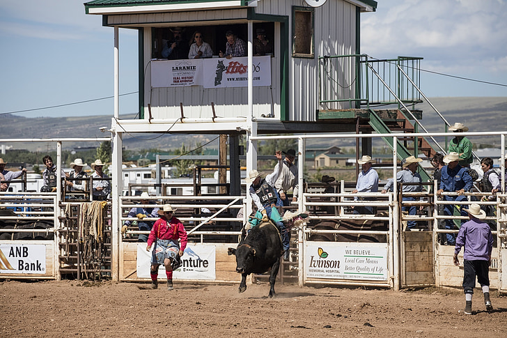 kowboje, Bull rider, Rodeo, człowiek, bucking, działania, Arena