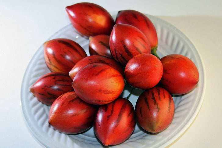 drvo rajčica voće, voće, Crveni, zrela, Ovalni, šiljasti, proizvesti