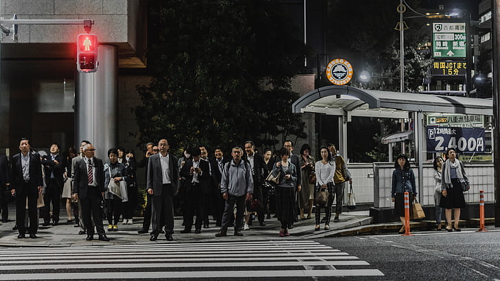 orang-orang, Laki-laki, Perempuan, berjalan, pejalan kaki, menyeberang, Jepang
